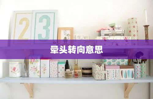 晕头转向意思