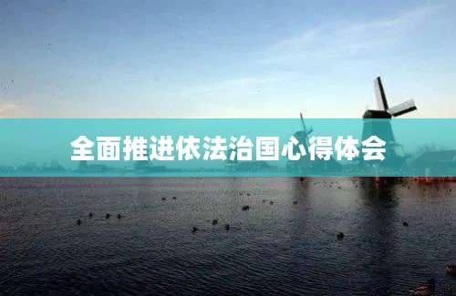 全面推进依法治国心得体会