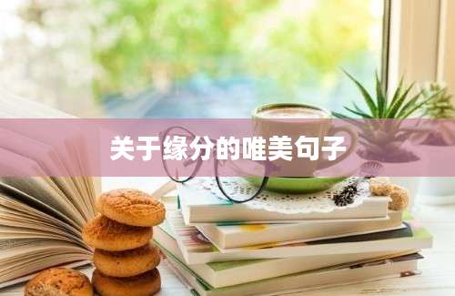 关于缘分的唯美句子