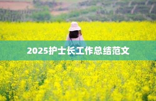 2025护士长工作总结范文