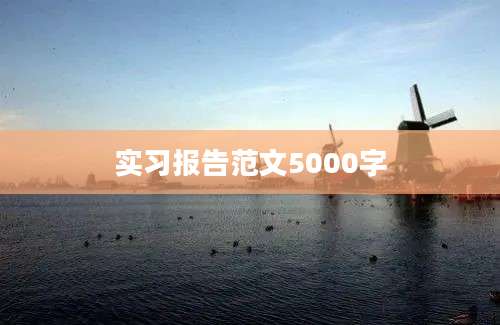 实习报告范文5000字