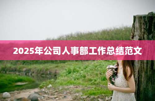 2025年公司人事部工作总结范文