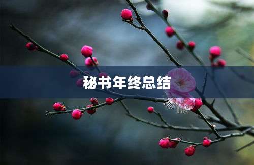 秘书年终总结