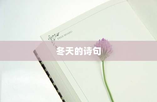 冬天的诗句