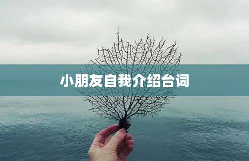 小朋友自我介绍台词