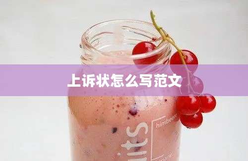 上诉状怎么写范文