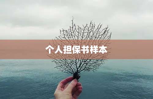个人担保书样本