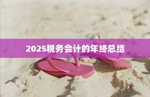 2025税务会计的年终总结