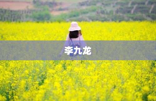 李九龙