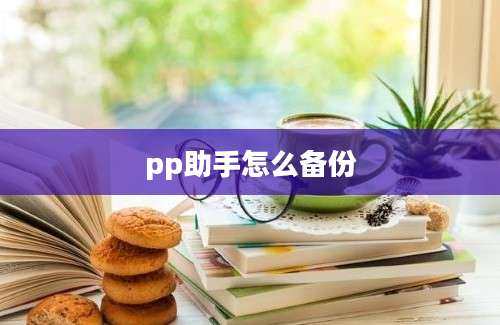 pp助手怎么备份