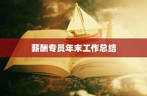 薪酬专员年末工作总结