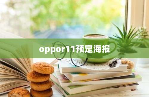 oppor11预定海报