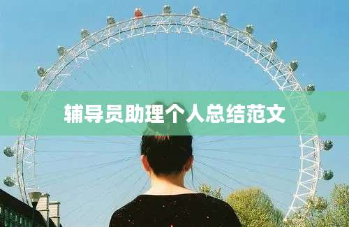 辅导员助理个人总结范文