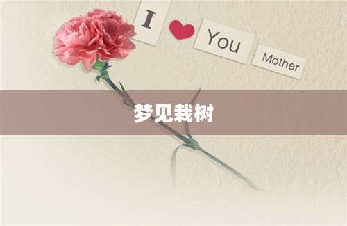 梦见栽树