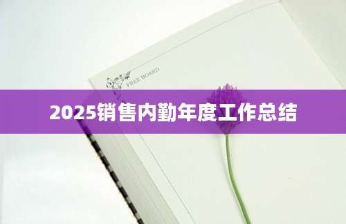2025销售内勤年度工作总结