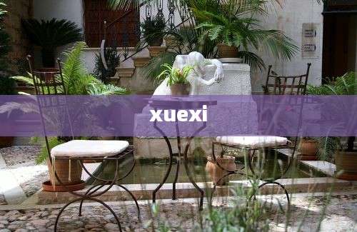 xuexi