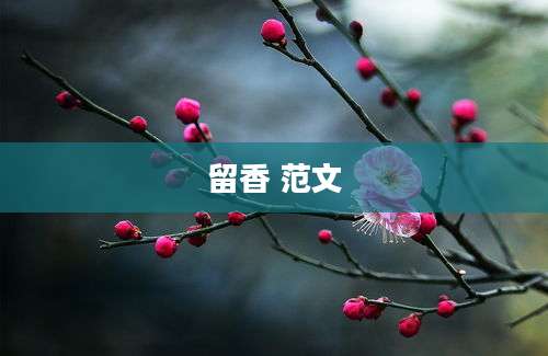留香 范文