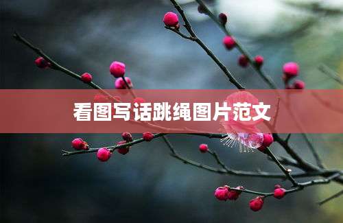 看图写话跳绳图片范文