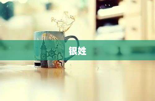 银姓