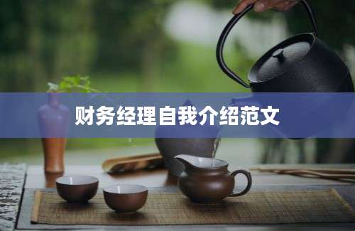 财务经理自我介绍范文