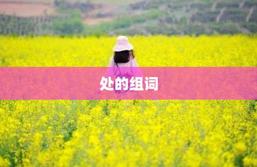 处的组词
