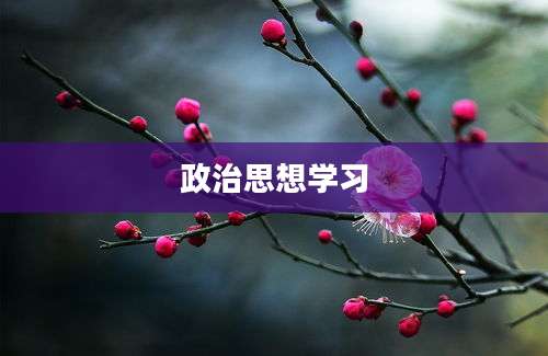 政治思想学习