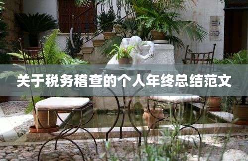 关于税务稽查的个人年终总结范文