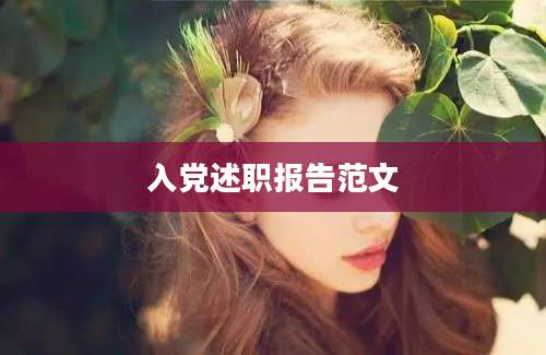 入党述职报告范文