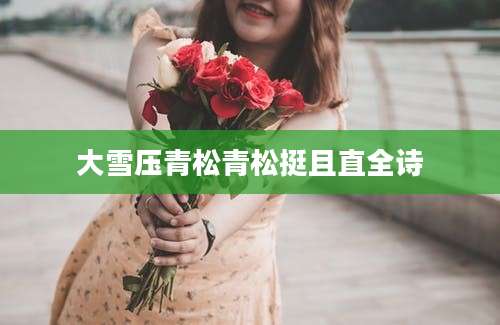 大雪压青松青松挺且直全诗