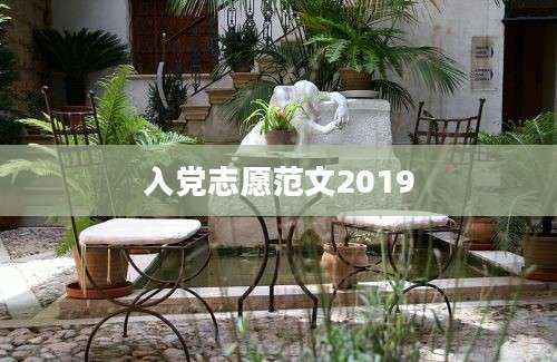 入党志愿范文2019