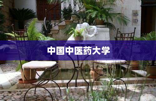 中国中医药大学