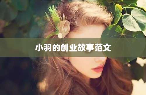 小羽的创业故事范文