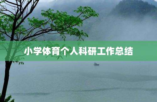 小学体育个人科研工作总结