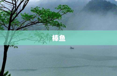 棒鱼