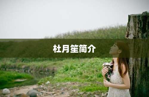 杜月笙简介