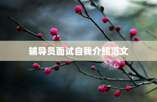 辅导员面试自我介绍范文