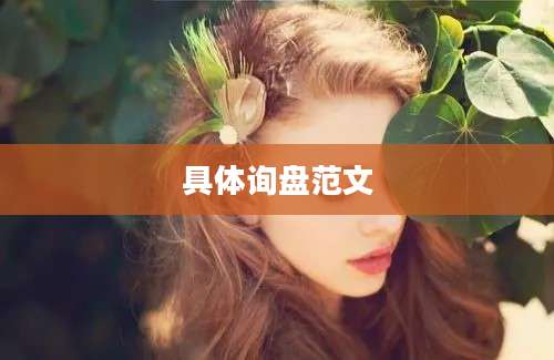 具体询盘范文
