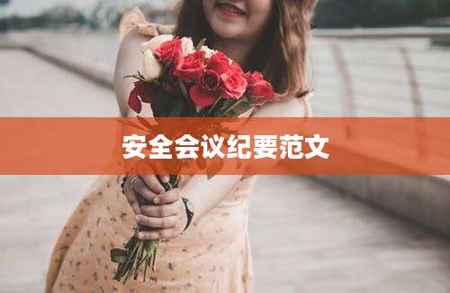 安全会议纪要范文
