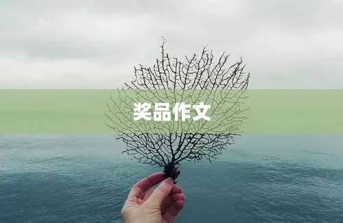 奖品作文