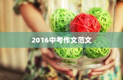 2016中考作文范文