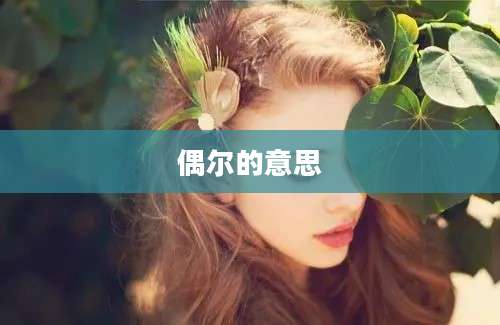 偶尔的意思