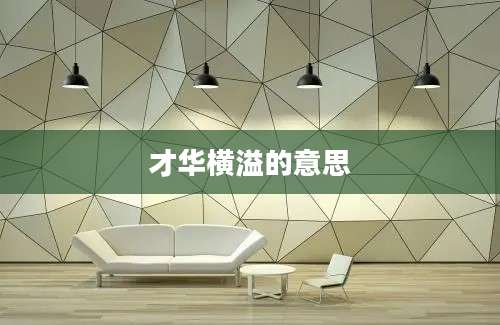 才华横溢的意思