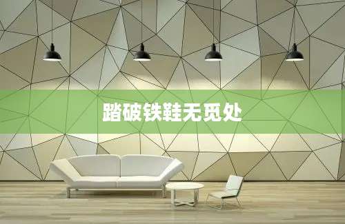 踏破铁鞋无觅处