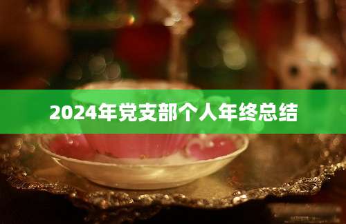 2024年党支部个人年终总结