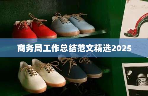 商务局工作总结范文精选2025