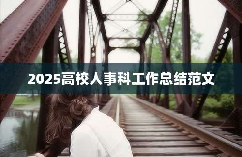 2025高校人事科工作总结范文