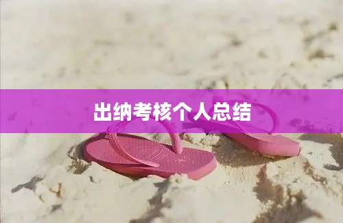 出纳考核个人总结