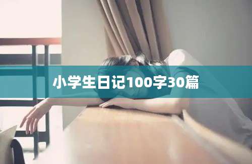 小学生日记100字30篇