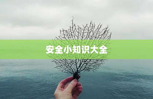 安全小知识大全