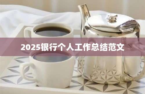 2025银行个人工作总结范文